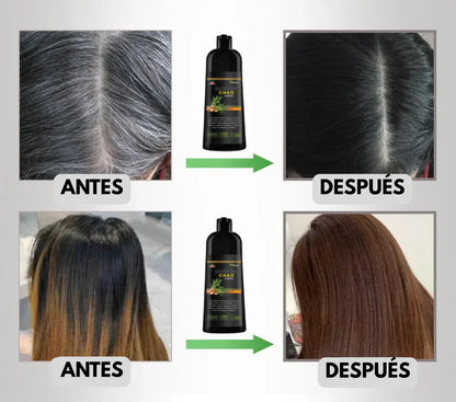 SHAMPOO PRIME CHAO PELOS